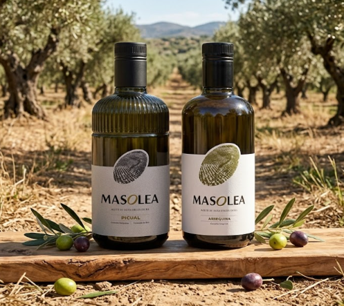 Masolea AOVE